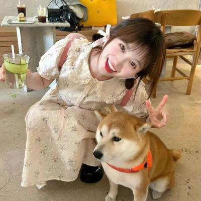 哥哥的飞驰人生